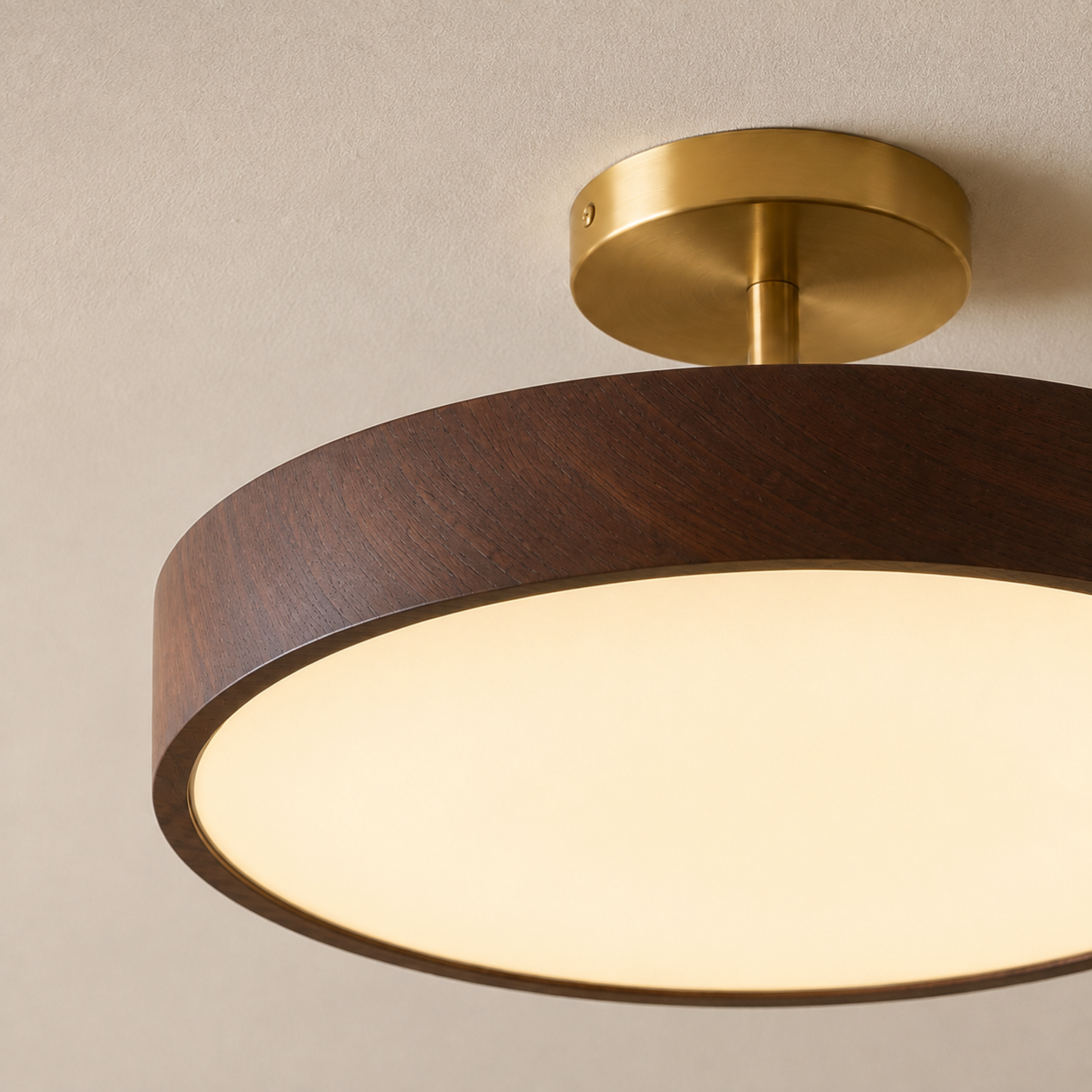 Scandinavian LED Ceiling Light