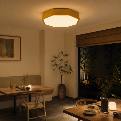 Modern Abstract Scandinavian LED Ceiling Light