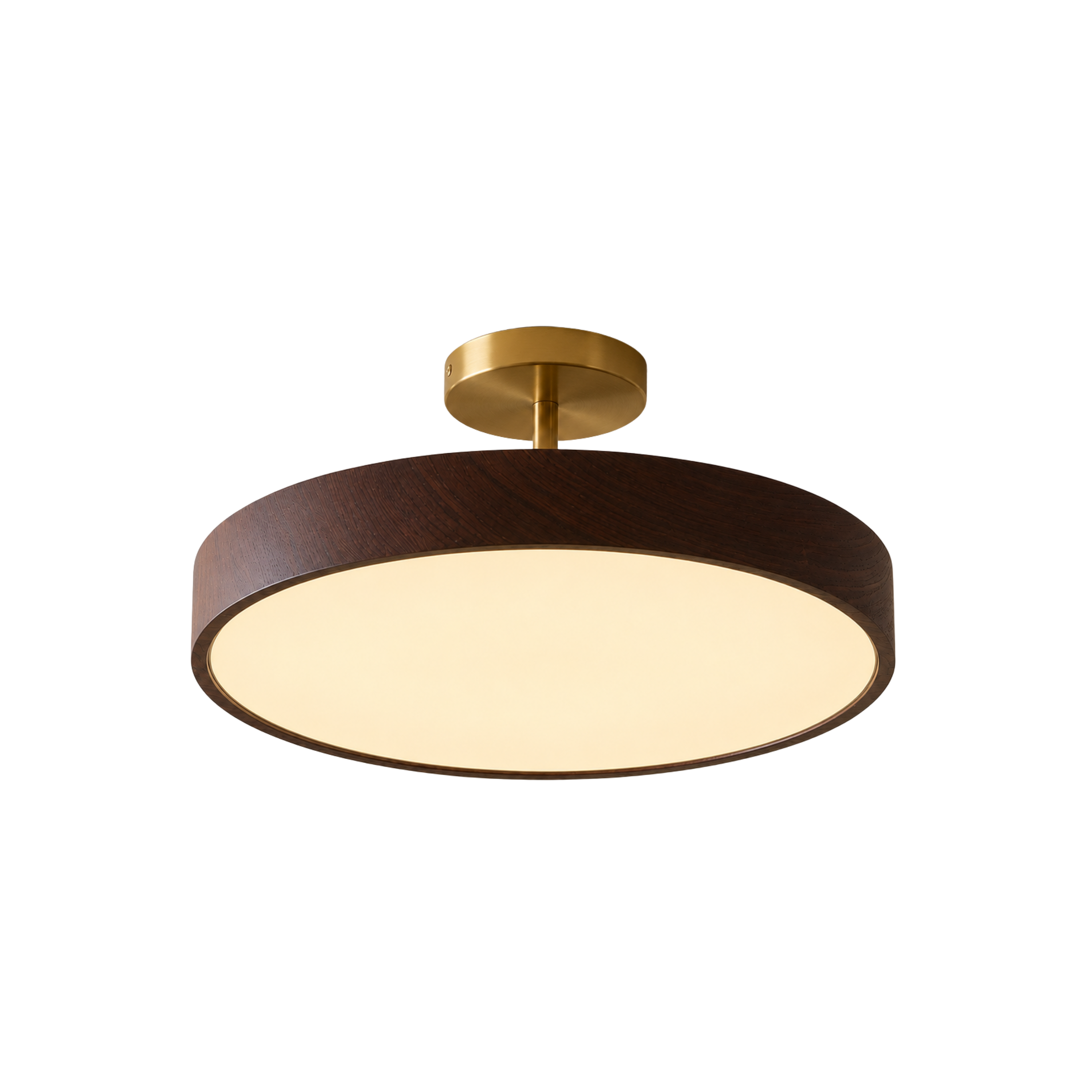 Scandinavian LED Ceiling Light