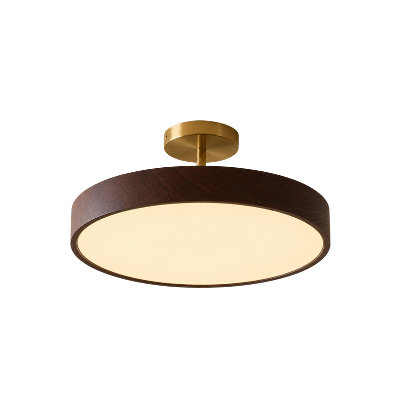 Scandinavian LED Ceiling Light