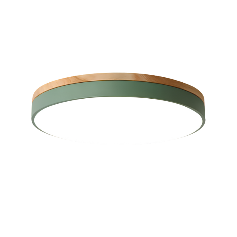 Round Disc Flush Mount Ceiling Light